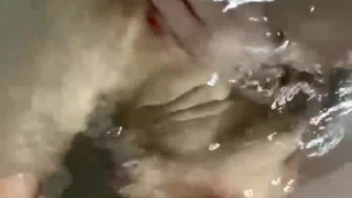 娇妻 雪白 呻吟-美女学生妹子是男友的乖母狗，戴着狗炼项圈乖乖让男友无套抽插~